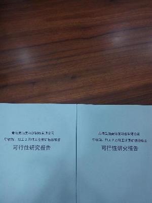 原陽養(yǎng)老地產(chǎn)項目可行性研究報告